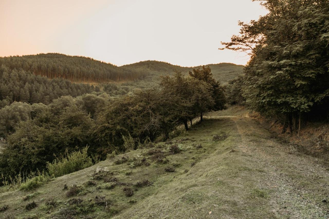 Apartmán Vackorkert Sirok Exteriér fotografie