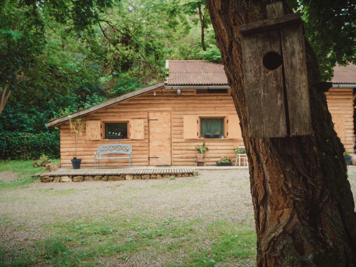 Apartmán Vackorkert Sirok Exteriér fotografie