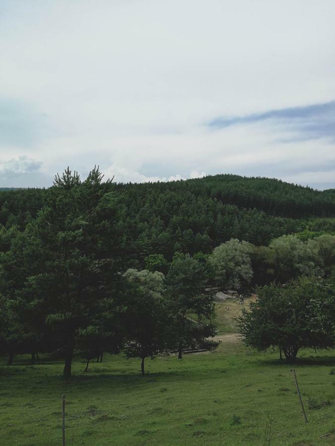 Apartmán Vackorkert Sirok Exteriér fotografie