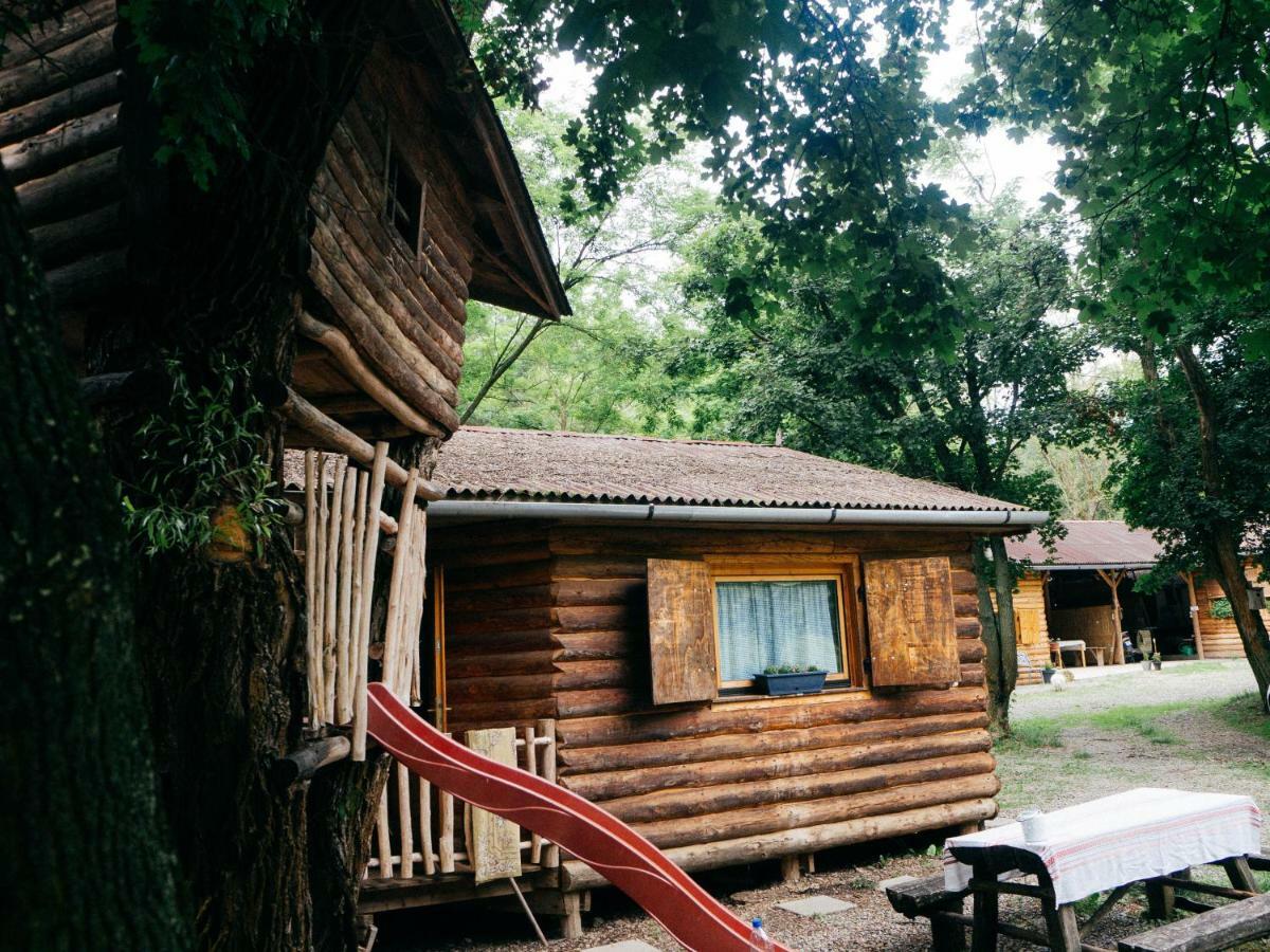 Apartmán Vackorkert Sirok Exteriér fotografie
